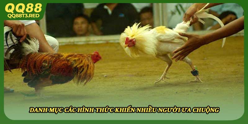Danh mục các hình thức khiến nhiều người ưa chuộng