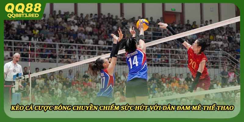 Kèo cá cược bóng chuyền chiếm sức hút với dân đam mê thể thao