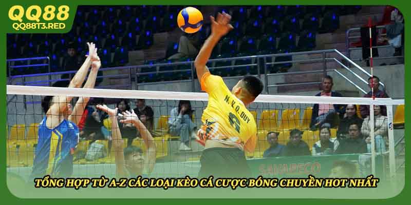 Tổng hợp từ A-Z các loại kèo cá cược bóng chuyền hot nhất